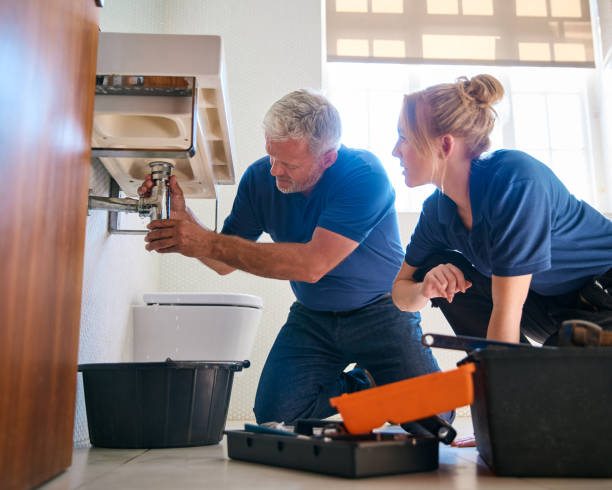 Best Residential Plumbing Services  in Albion, NY